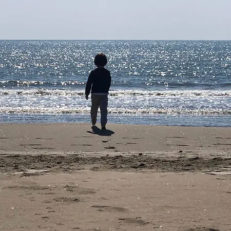 L Ulivo Sul Mare *
